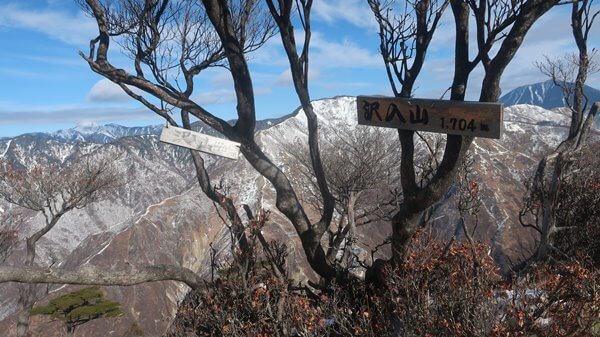 沢入山山頂